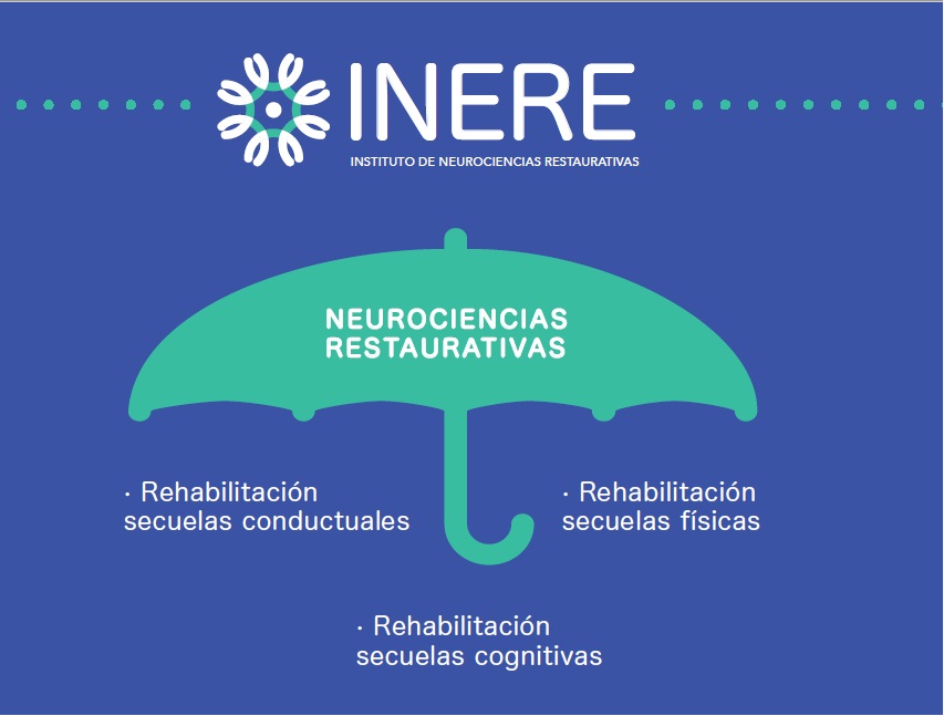 imagen neurociencias restaurativas